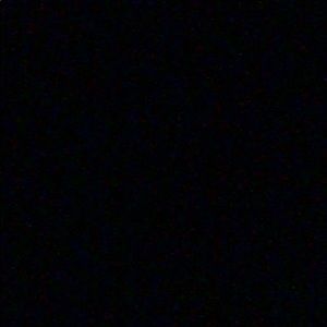 Meet your Posher, Amelia